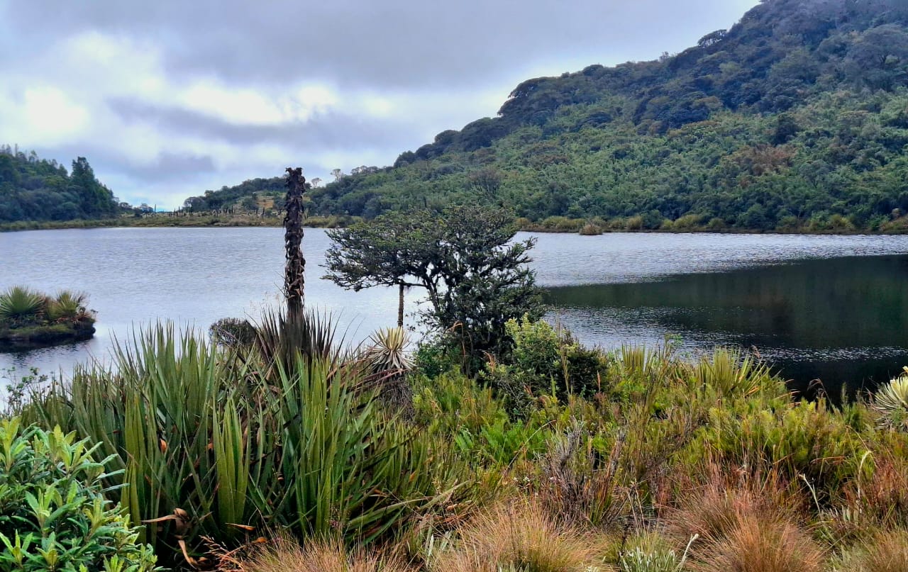 Conectamos a las personas con la naturaleza. - AGBIOS
