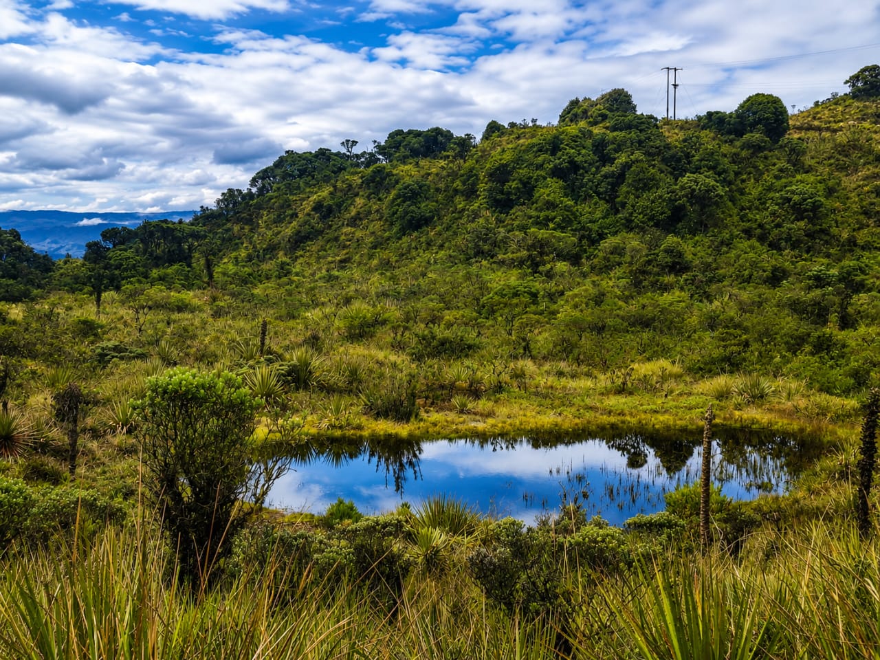 Ecología AGBIOS